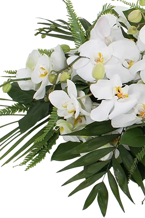 Rouwwerk met Phalaenopsis