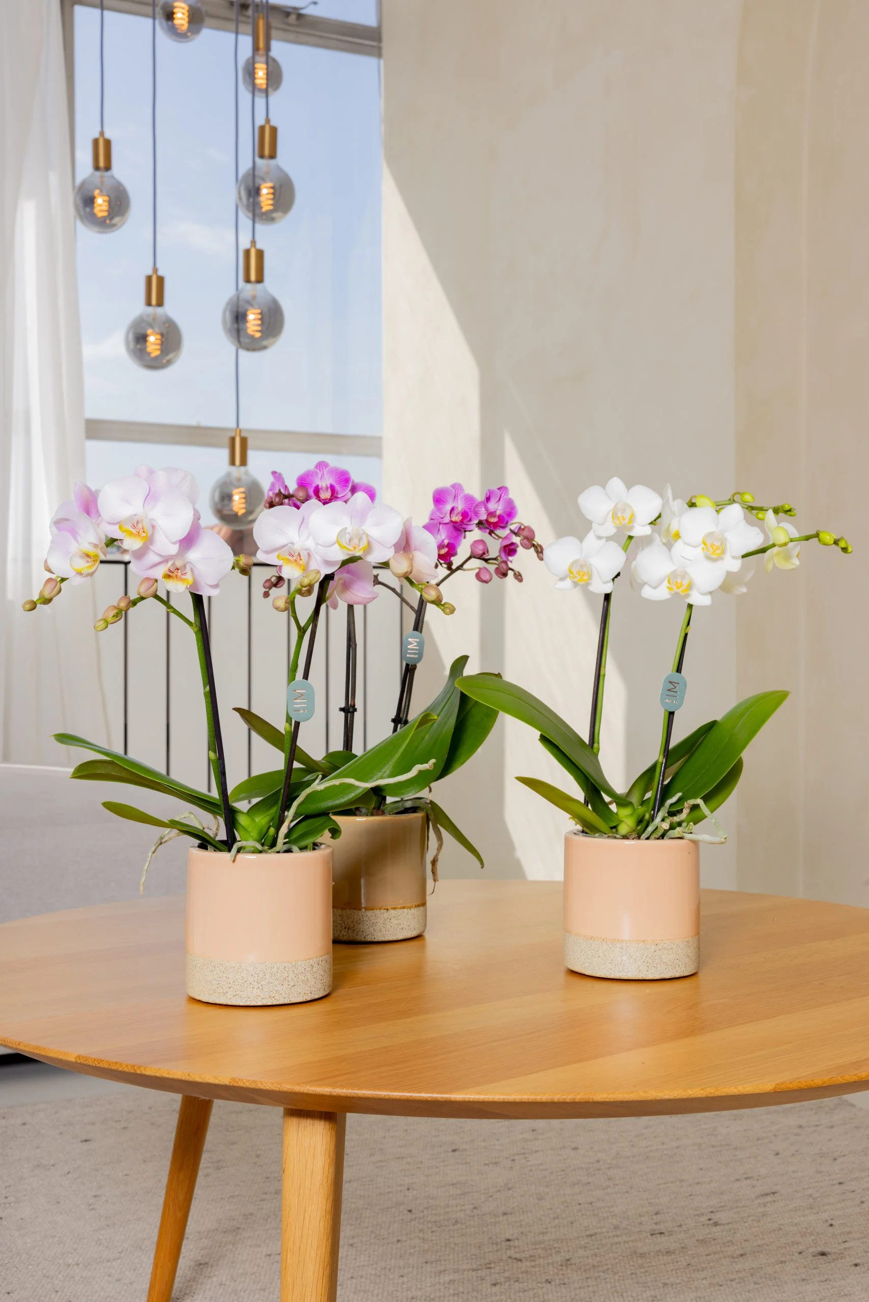 Biglietto di auguri per la festa della mamma papiro (cascata di fiori